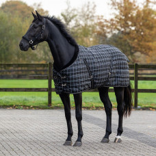 STALDEKEN LUXE 250 GRAM ZWARTE RUIT 195