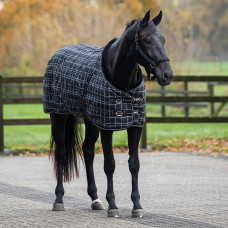 STALDEKEN LUXE 250 GRAM ZWARTE RUIT 195