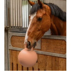FUN BALL MET GEUR