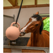 FUN BALL MET GEUR