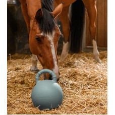 FUN BALL MET GEUR