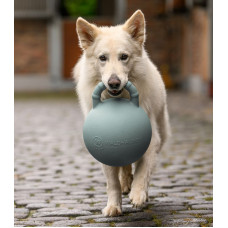 FUN BALL MET GEUR
