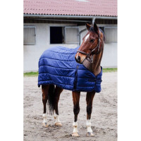 EQUITHEME CLASSIC LINER/ONDERDEKEN 100 GRAM EQUITHEME CLASSIC LINER/ONDERDEKEN 100 GRAM