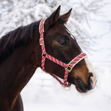 HALSTER KERST JOLLY STRIPE