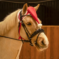 KERSTMUTS PAARD ROOD KERSTMUTS PAARD ROOD