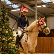 KERSTMUTS PAARD ROOD