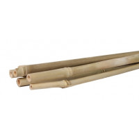 BAMBOESTOK 120CM (5 STUKS) BAMBOESTOK 120CM (5 STUKS)