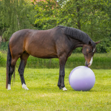 PAARDENVOETBAL TWO-TONE PAARS 75 CM
