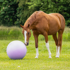 PAARDENVOETBAL TWO-TONE PAARS 75 CM