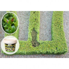 TOP BUXUS HEALTH MIX 40 TABL / 400 M2