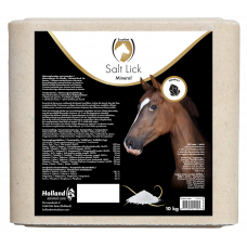 LIKSTEEN MINERAL HORSE (LIKSTEEN) 10 KG