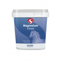 SECTOLIN MAGNESIUM CITRAAT 1KG