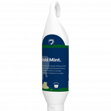 GOLD MINT STA-/HANG TUBE 500 ML