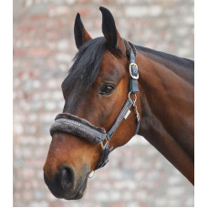 HALSTER ELEGANT