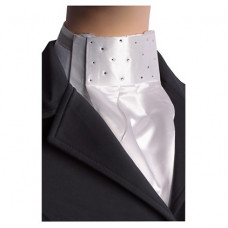 PLASTRON PRECIOUS ZILVER