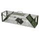 Ratten & Muizen Ratten & Muizen